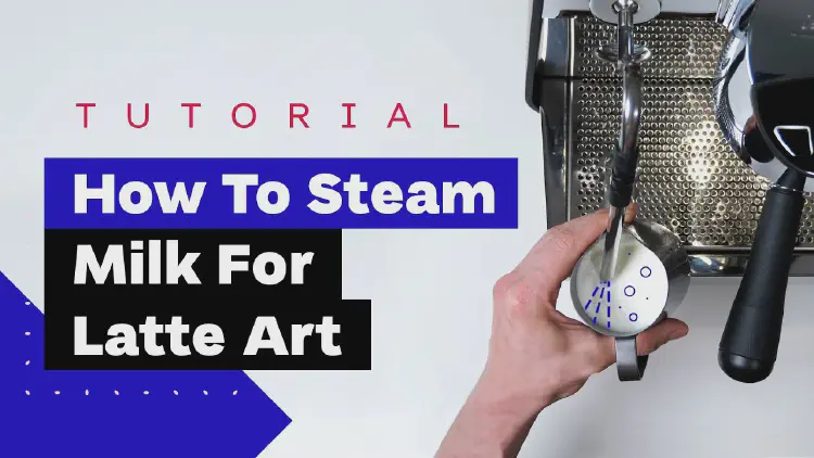 A Barista's Guide: How to Steam Milk Perfectly for Latte Art